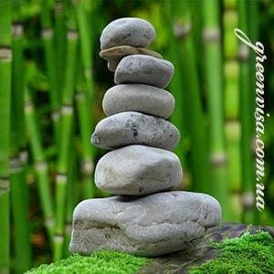 Товары для нервной системы