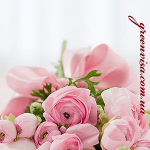 Для кожи, волос и ногтей