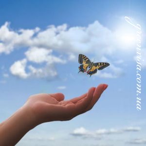 Снято с производства дом