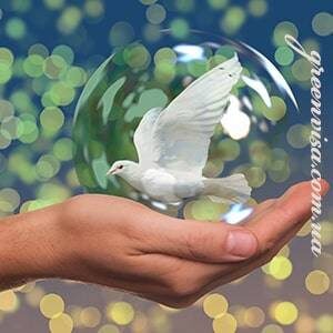 Зелені суперфуди – дієтичні добавки